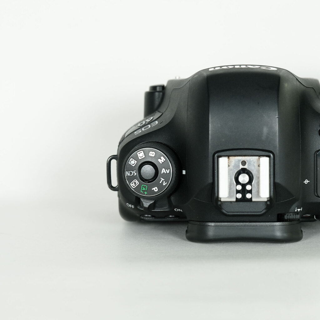 Canon EOS 6D Mark IIの出品 | ONE SCENE（ワンシーン）