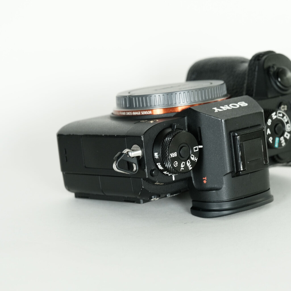 SONY - さくら　SONY ソニー α9 ILCE-9 カメラ ショット数約1896 α9 主な仕様 | デジタル一眼カメラα（アルファ） | ソニー