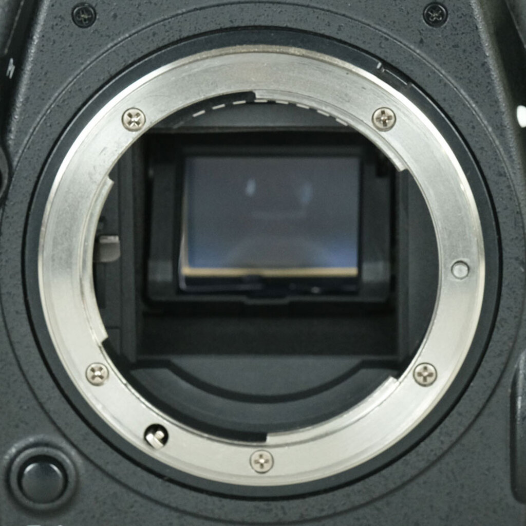 Nikon D500