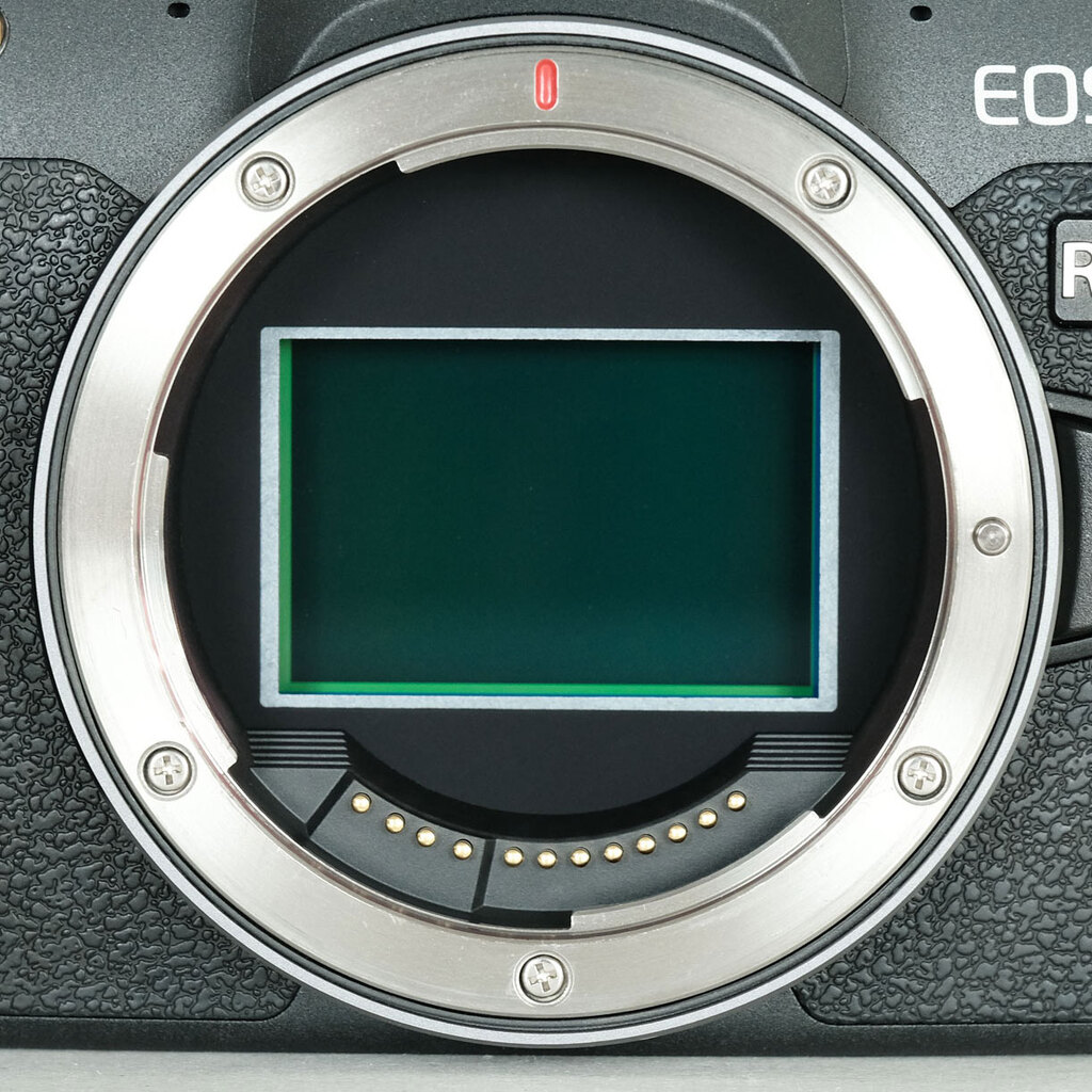 Canon EOS R8の出品 | ONE SCENE（ワンシーン）