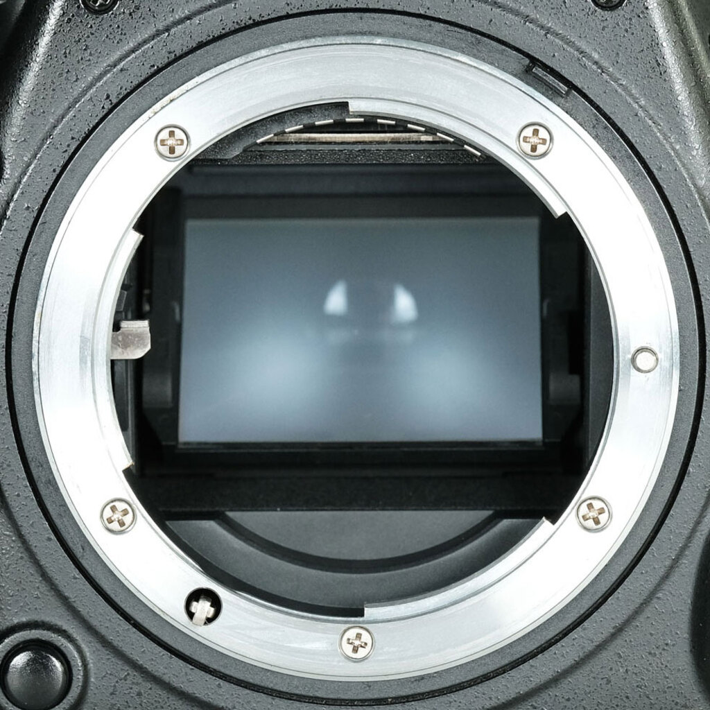 Nikon D750の出品 | ONE SCENE（ワンシーン）