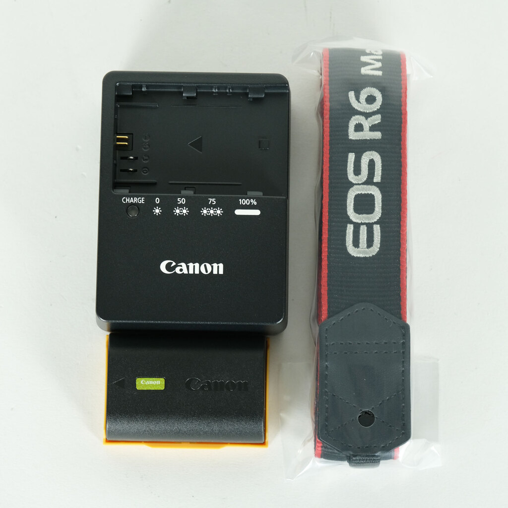 Canon EOS R6 Mark II