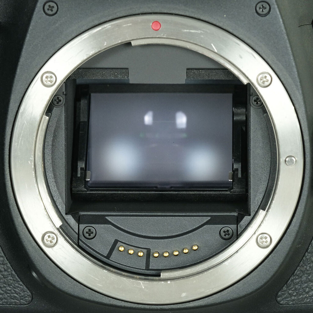 Canon EOS 6D Mark II