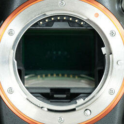SONY α99(SLT-A99V) SONY α99(SLT-A99V)