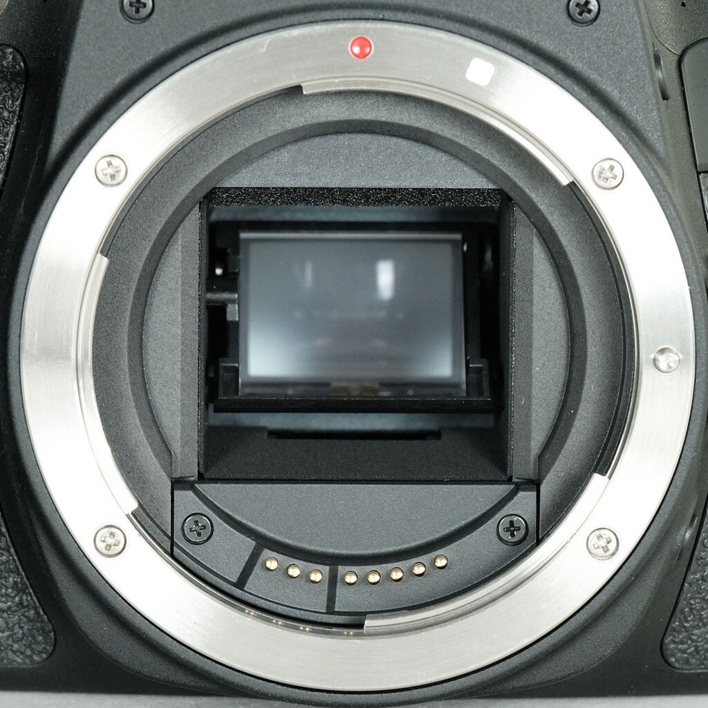 Canon EOS Kiss X9iの出品 | ONE SCENE（ワンシーン）