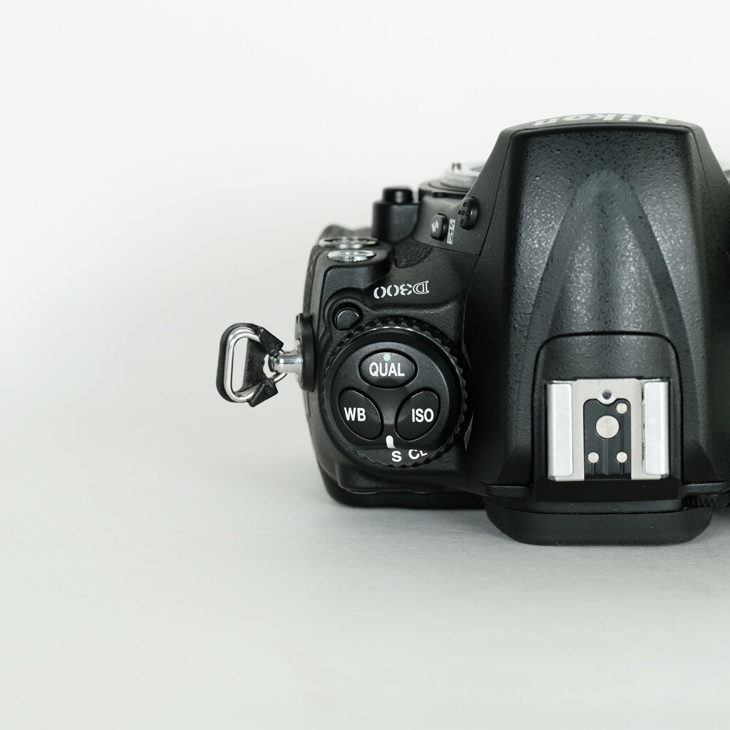 Nikon D300 ボディの出品 | ONE SCENE（ワンシーン）