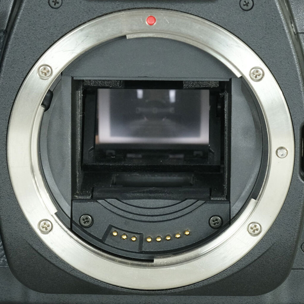 Canon EOS D60 Canon EOS D60