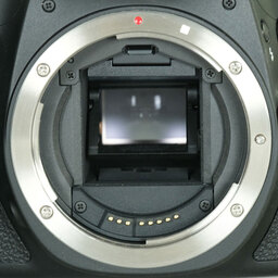 Canon EOS 60D ボディ