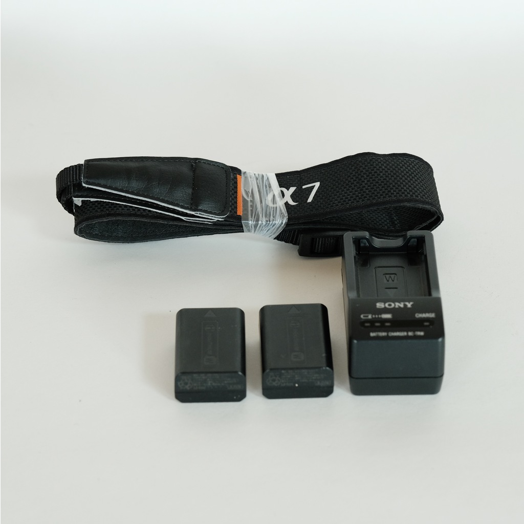 ジャンク Sony α7SM2 ボディ ILCE-7SM2 シャッター200枚台 ジャンク Sony α7SM2 ボディ ILCE-7SM2 シャッター200枚台 SONY