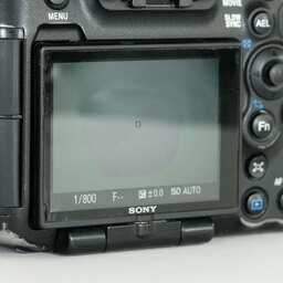 SONY α99(SLT-A99V) SONY α99(SLT-A99V)