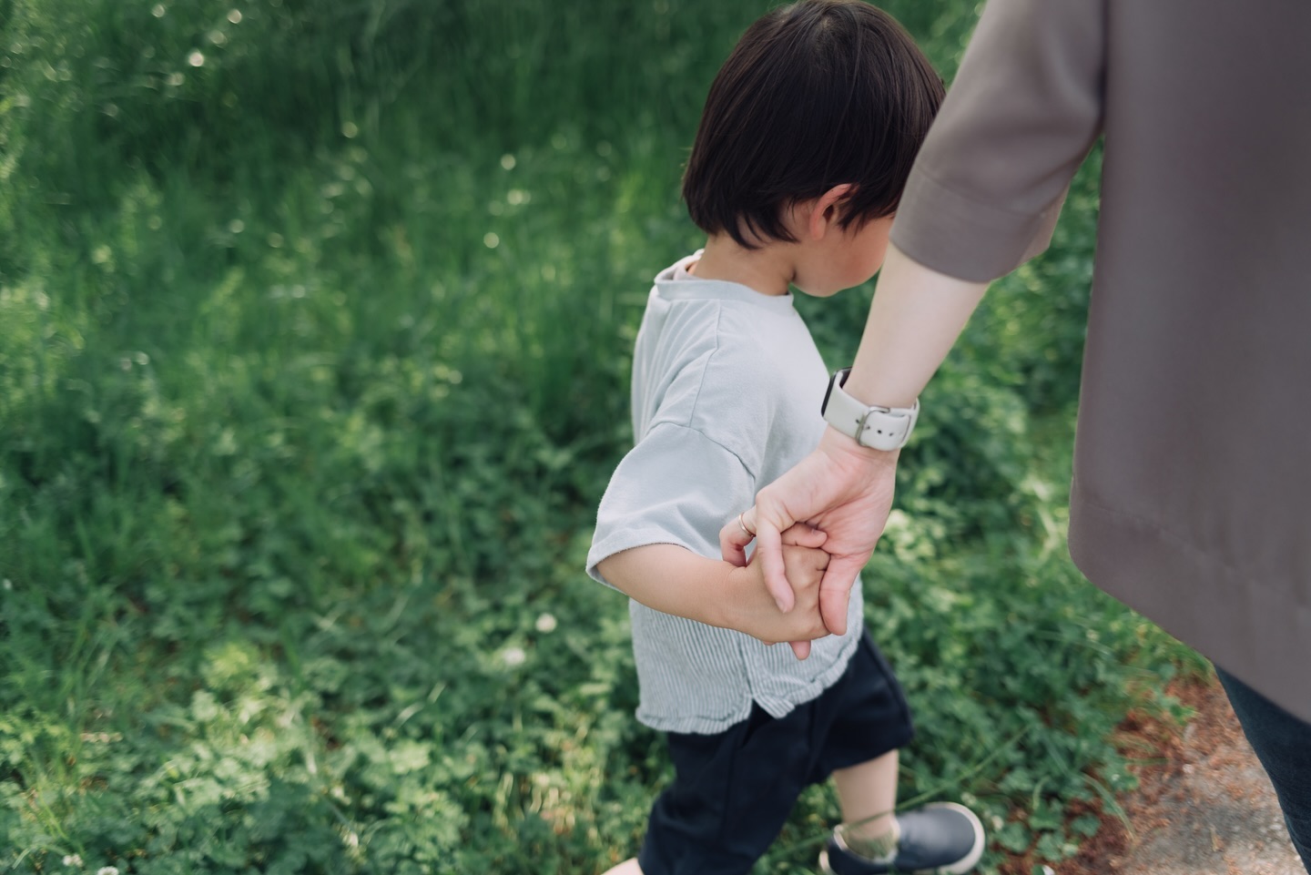 PENTAX K-1 Mark II / smc PENTAX-FA 31mm F1.8 Limited
