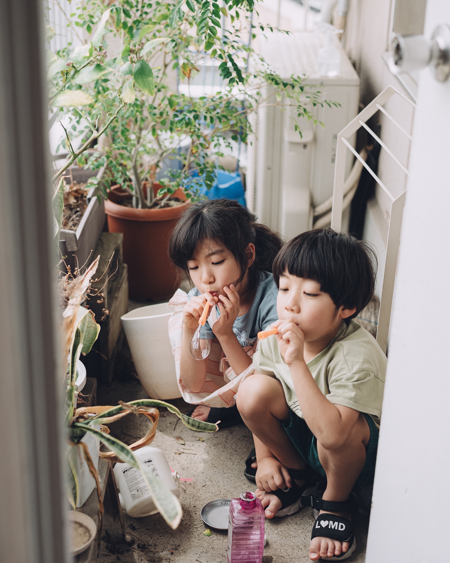 Nikon Z6III / AF-S NIKKOR 50mm f/1.4G 