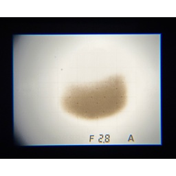 FUJIFILM X20 シルバー