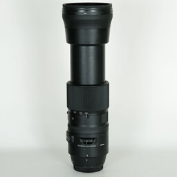 SIGMA 150-600mm F5-6.3 DG OS HSM | Contemporary [キヤノンEF用]