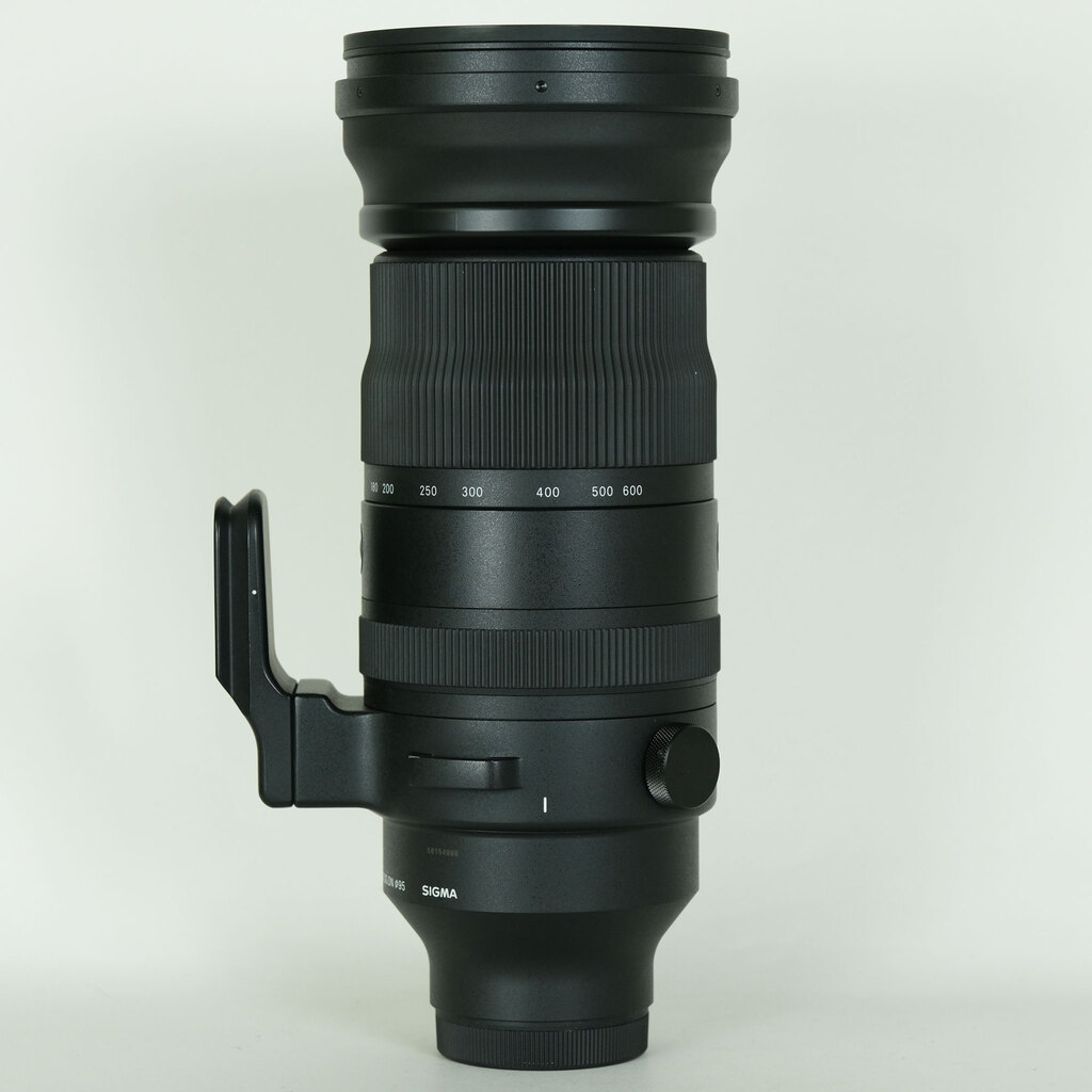SIGMA 150-600mm F5-6.3 DG DN OS｜Sports [ソニーE用]