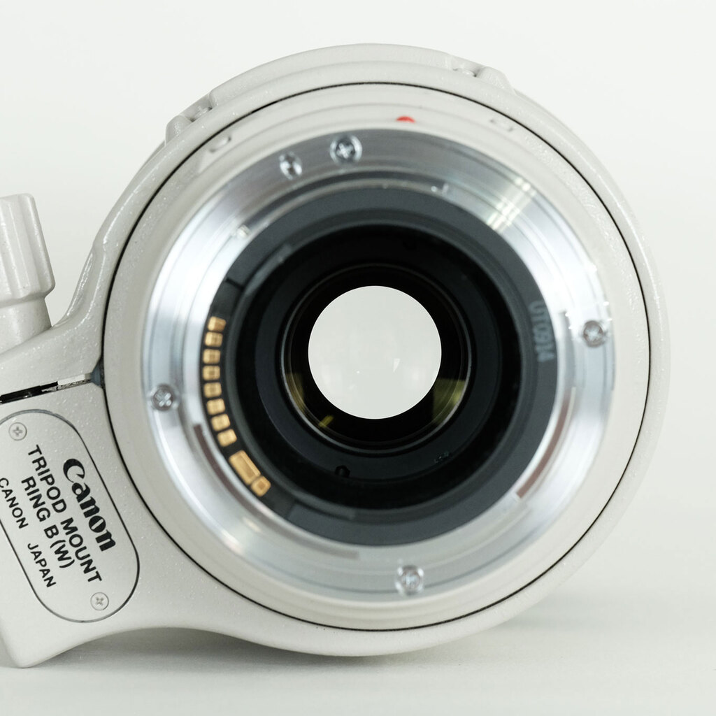 Canon EF100-400mm F4.5-5.6L IS USM