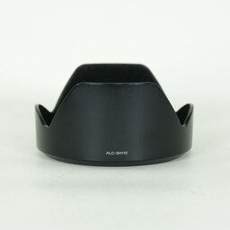 SONY Distagon T* 24mm F2 ZA SSM SAL24F20Z