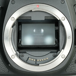 Canon EOS 6D Mark II