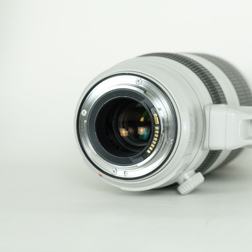 Canon EF100-400mm F4.5-5.6L IS II USM