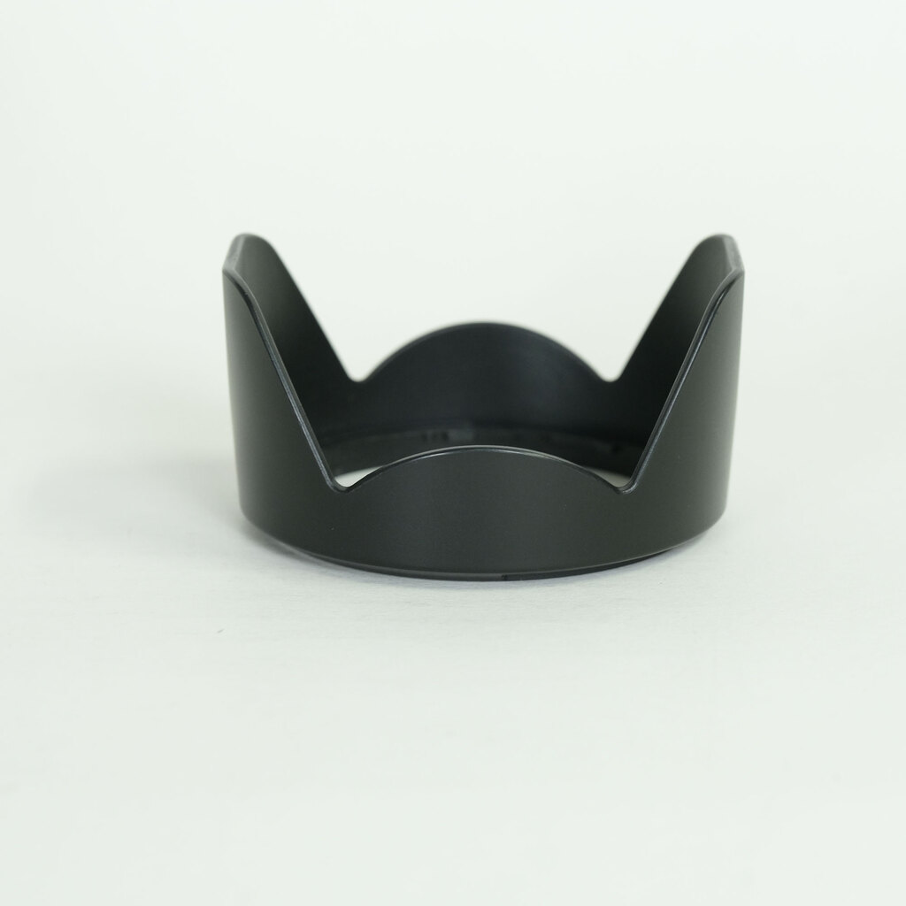 Nikon AF-P DX NIKKOR 18-55mm F3.5-5.6G VR