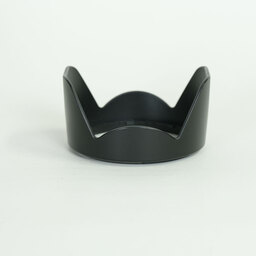 Nikon AF-P DX NIKKOR 18-55mm F3.5-5.6G VR