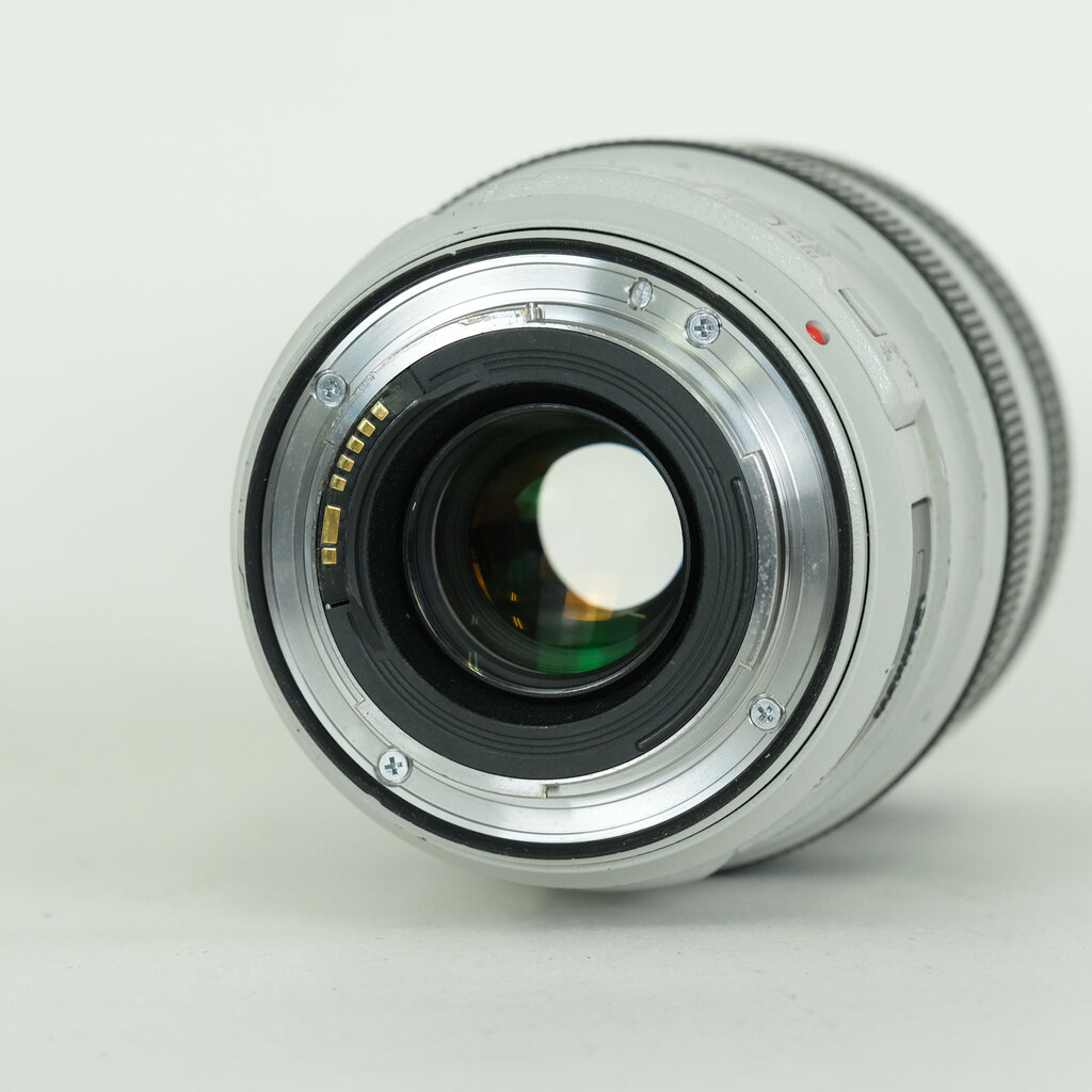 Canon EF70-300mm F4-5.6L IS USM