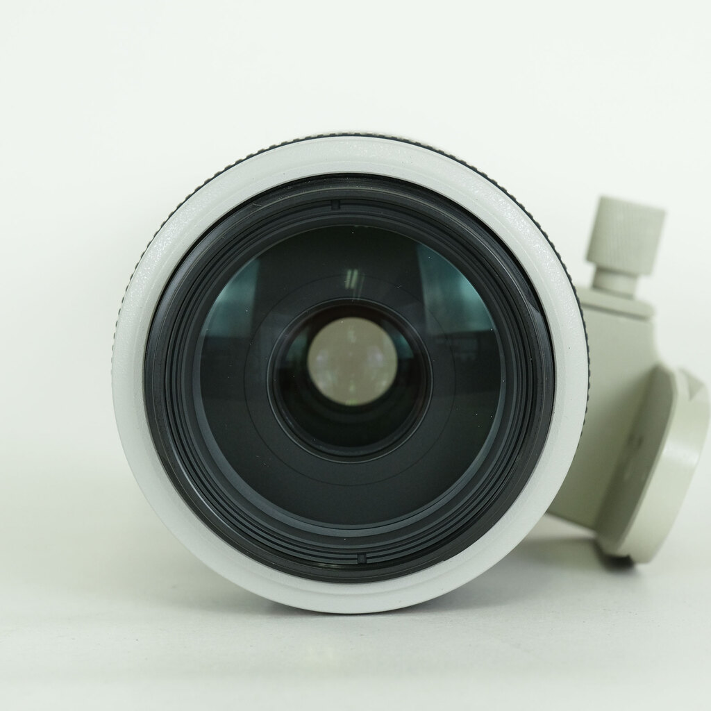 Canon EF70-300mm F4-5.6L IS USM