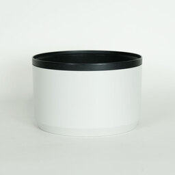 Canon RF70-200mm F4 L IS USM