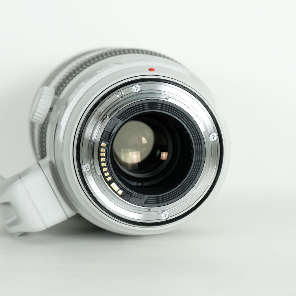 Canon EF100-400mm F4.5-5.6L IS II USM Canon EF100-400mm F4.5-5.6L IS II USM