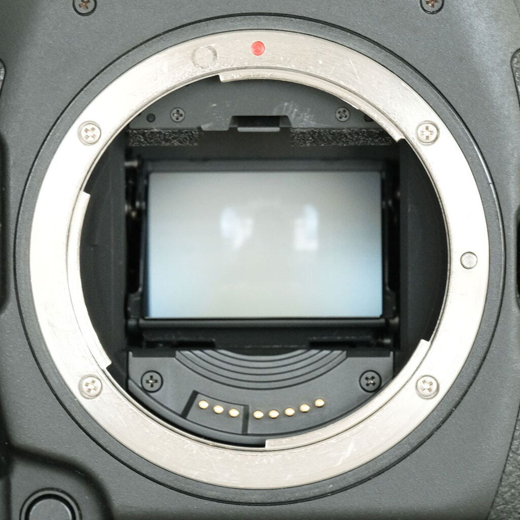 Canon EOS-1D X Mark II