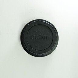 Canon EF24-105mm F4L IS II USM