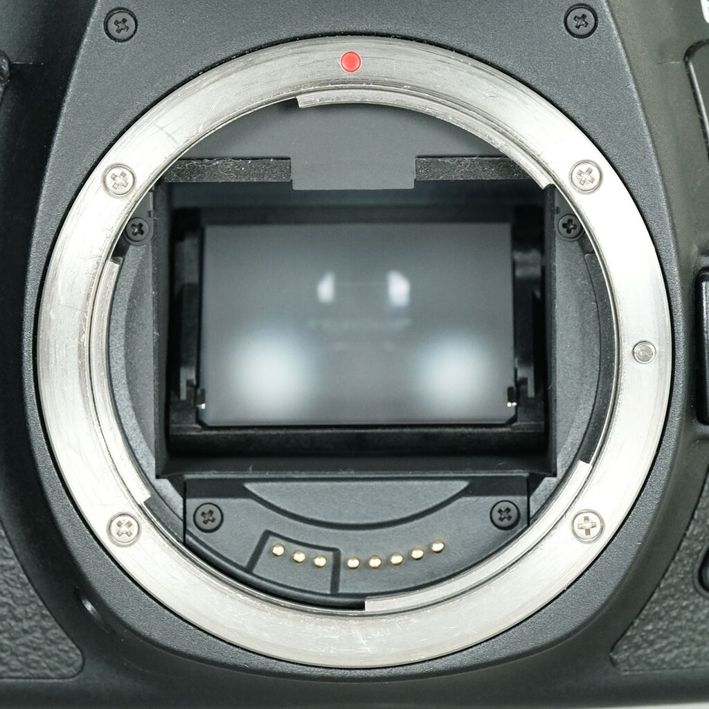 Canon EOS 6D Mark II