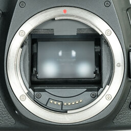 Canon EOS 6D Mark II