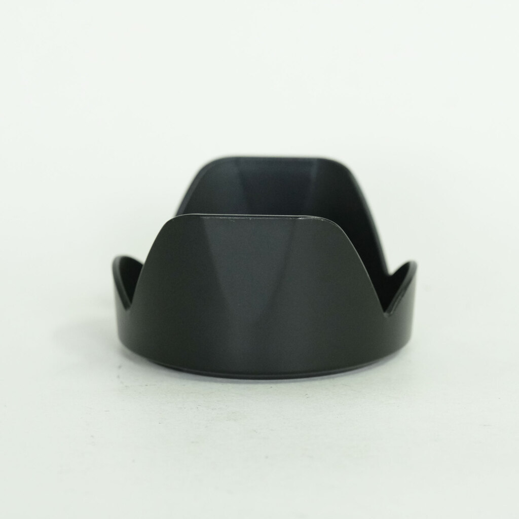 Nikon AF-P DX NIKKOR 18-55mm F3.5-5.6G VR