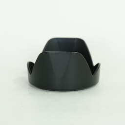 Nikon AF-P DX NIKKOR 18-55mm F3.5-5.6G VR