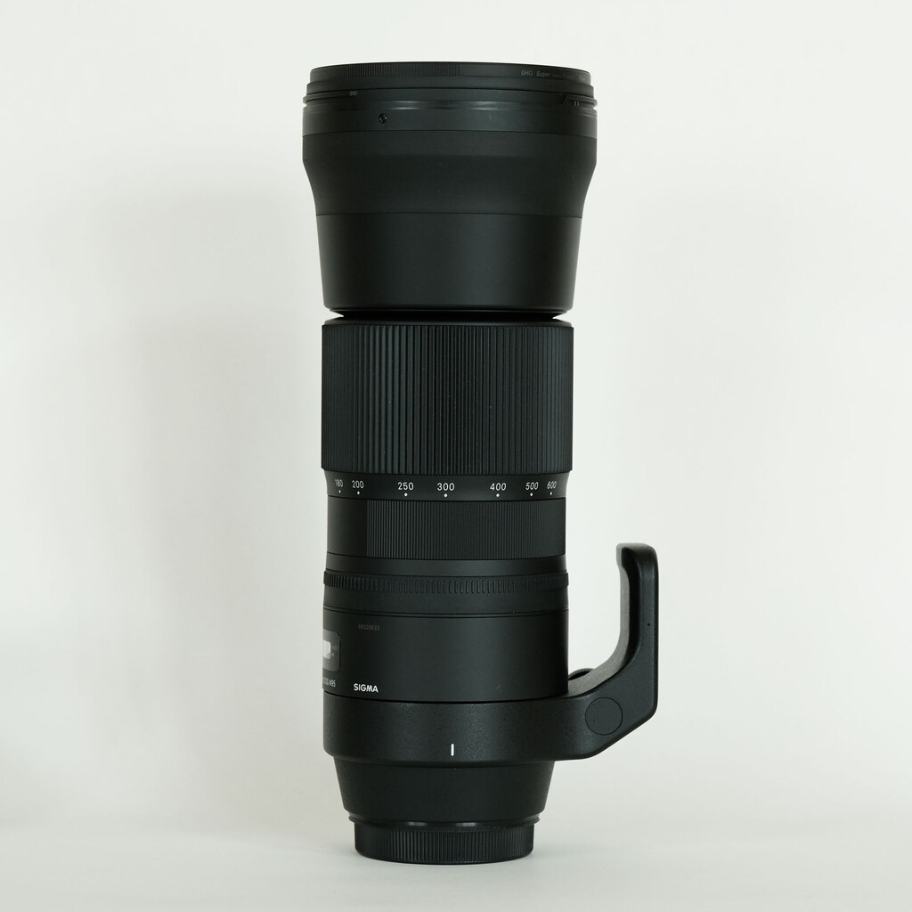 SIGMA 150-600mm F5-6.3 DG OS HSM | Contemporary [キヤノンEF用]