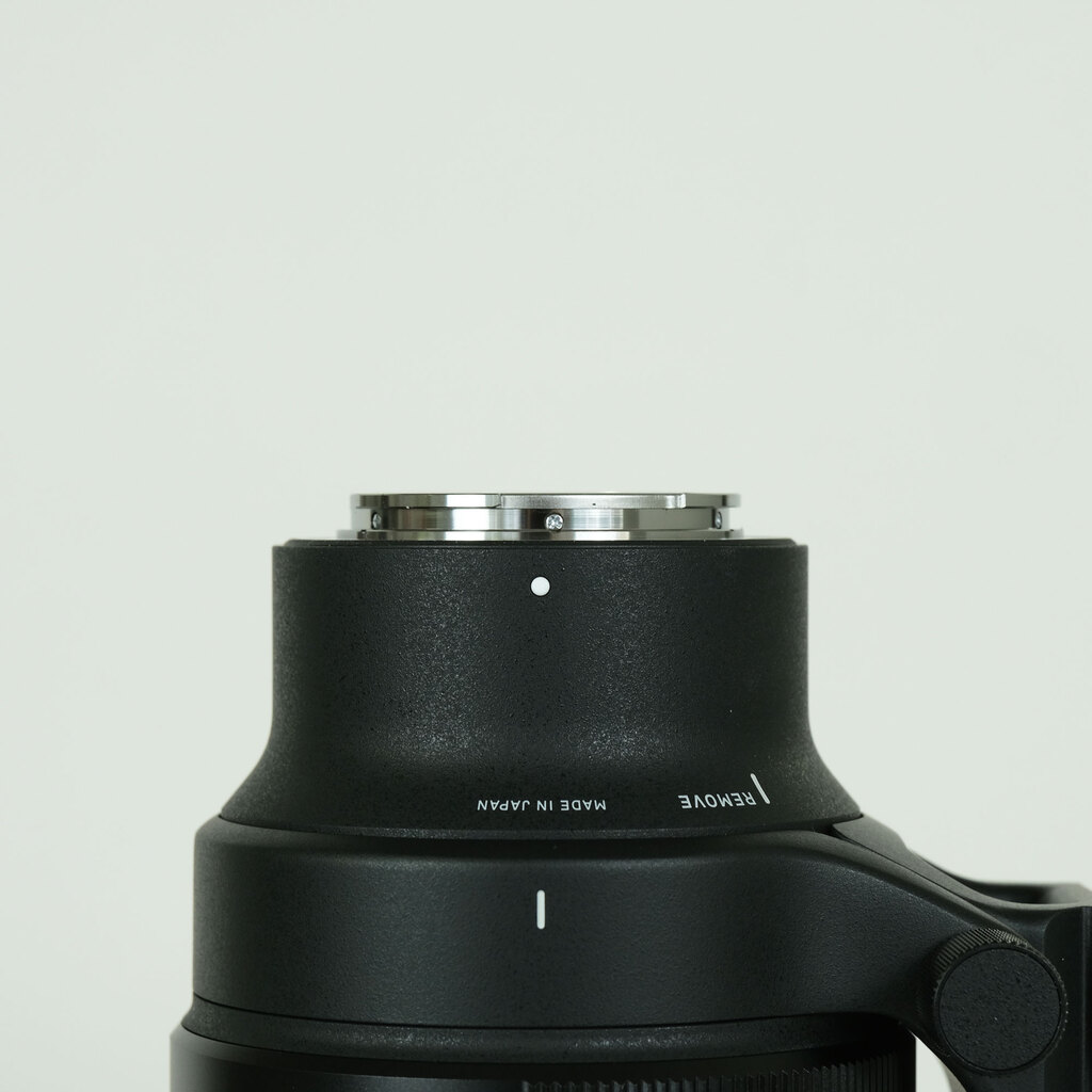 SIGMA 14mm F1.4 DG DN｜Art [ソニーE用]