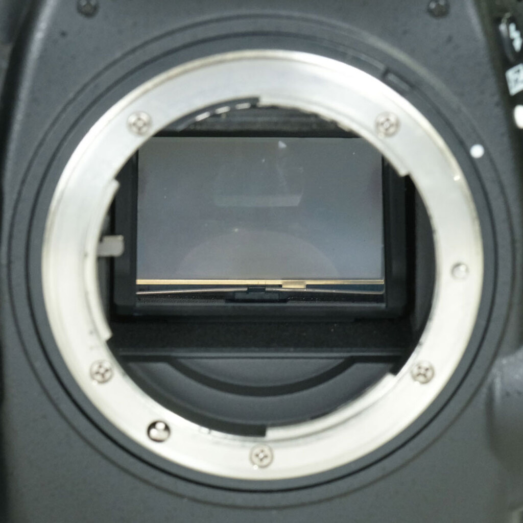 Nikon D800