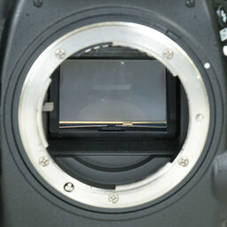 Nikon D800
