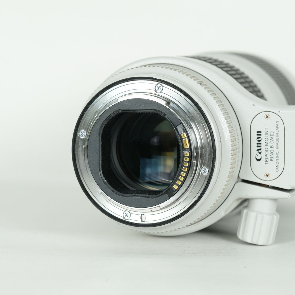 Canon EF70-200mm F2.8L IS III USM