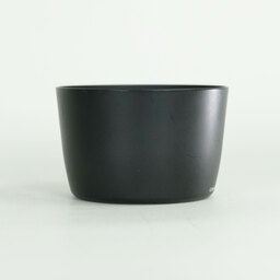 Canon EF-S55-250mm F4-5.6 IS II