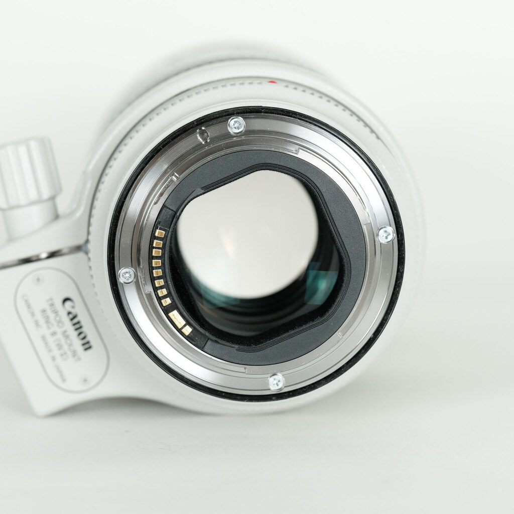 Canon EF70-200mm F2.8L IS III USM