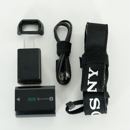 SONY α6600（ILCE-6600）