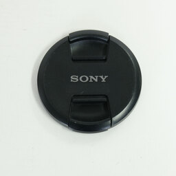 SONY FE 24-105mm F4 G OSS SEL24105G