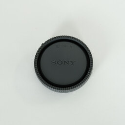 SONY FE 24-105mm F4 G OSS SEL24105G