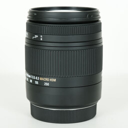 SIGMA 18-250mm F3.5-6.3 DC MACRO OS HSM (キヤノンEF用)