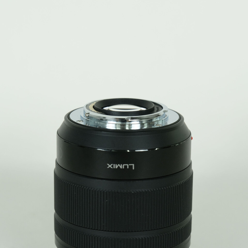 Panasonic LUMIX G VARIO 12-60mm / F3.5-5.6 ASPH. / POWER O.I.S.の