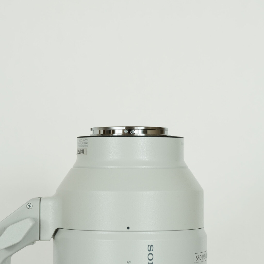 SONY FE 100-400mm F4.5-5.6 GM OSS SEL100400GM