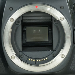 Canon EOS 80D