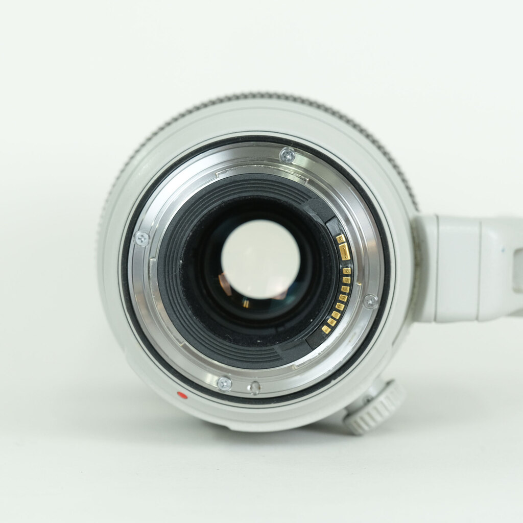 Canon EF100-400mm F4.5-5.6L IS II USM